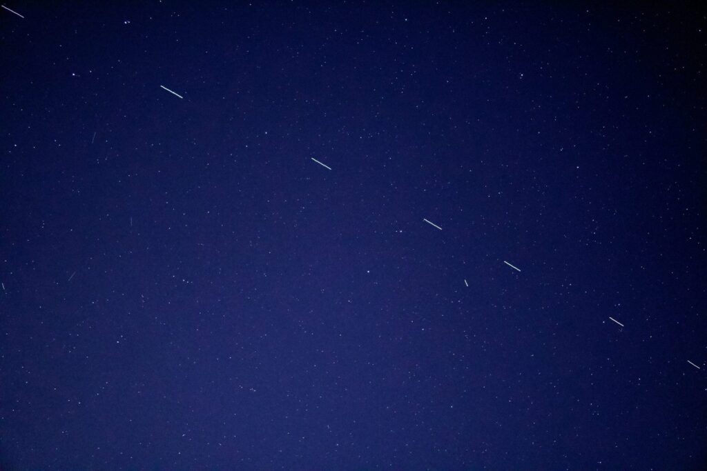 birds flying in the sky during night time