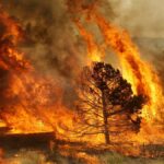 incendiosforestales-andalucia-1080x675